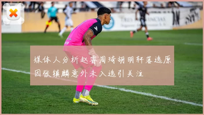 媒体人分析赵睿周琦胡明轩落选原因张镇麟意外未入选引关注