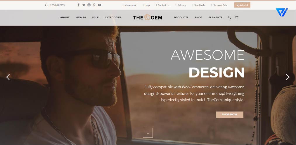 Best WordPress eCommerce Themes for 2021