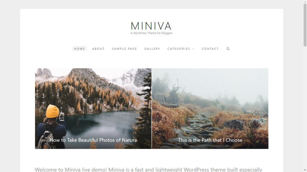 WordPress Minimalist Themes : Ultimate Guide