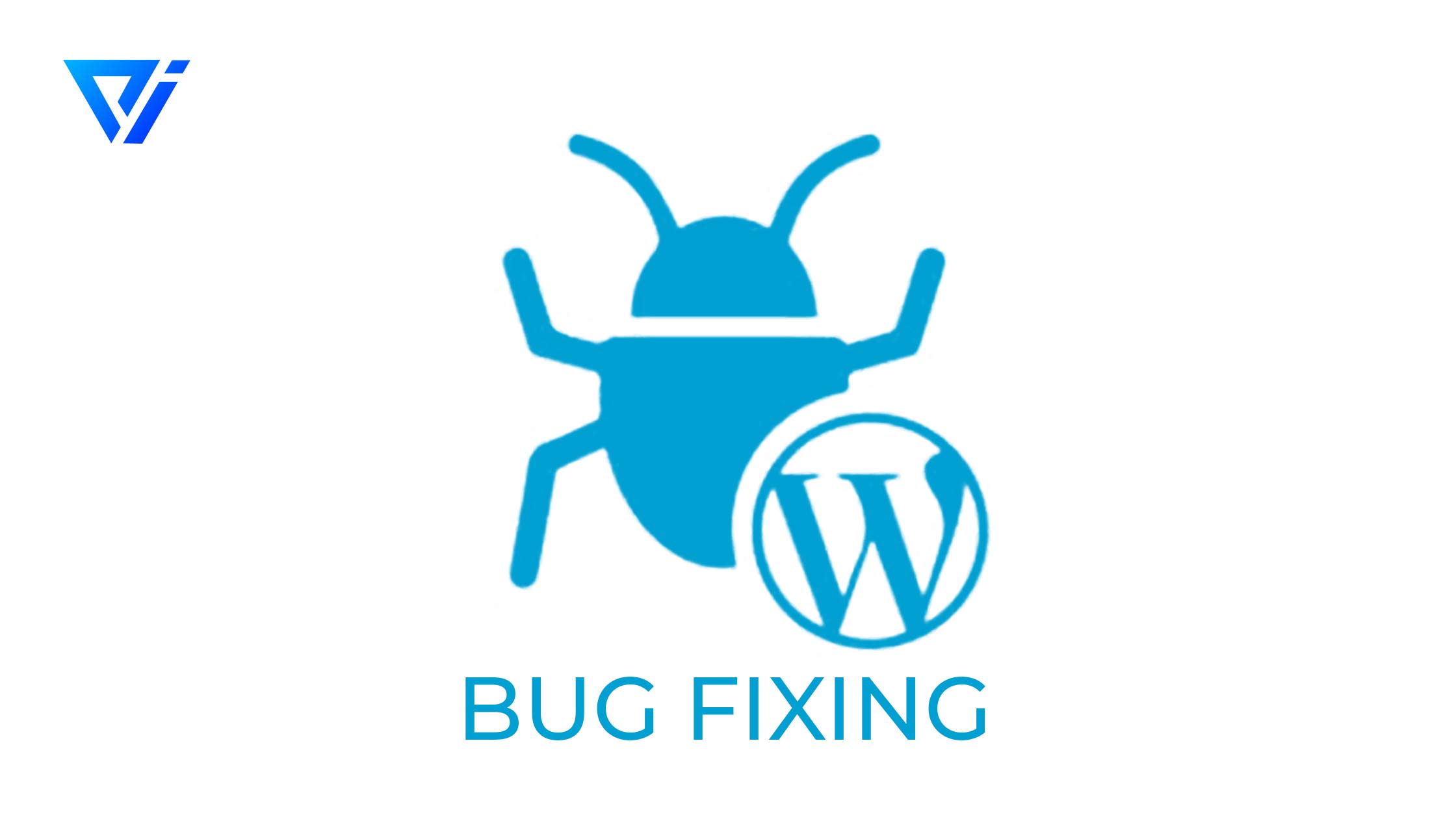WordPress-Bug-Fixing-Some-Common-Errors